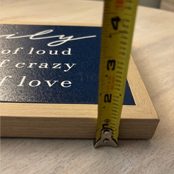 NWT Navy Family Quote Wall Art- a little loud a little crazy a whole lot of love - Picture 5 of 7